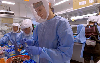 lady working in a lab