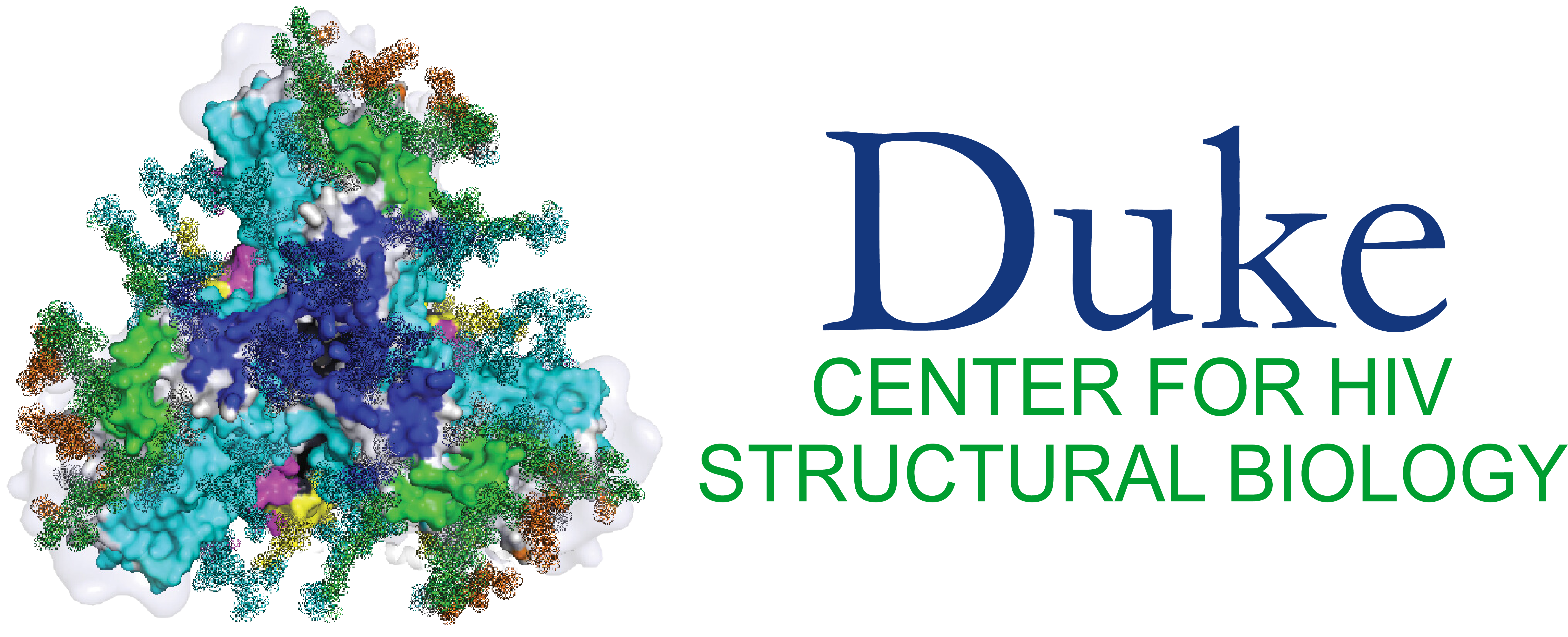 Duke Center for HIV Structural Biology Logo