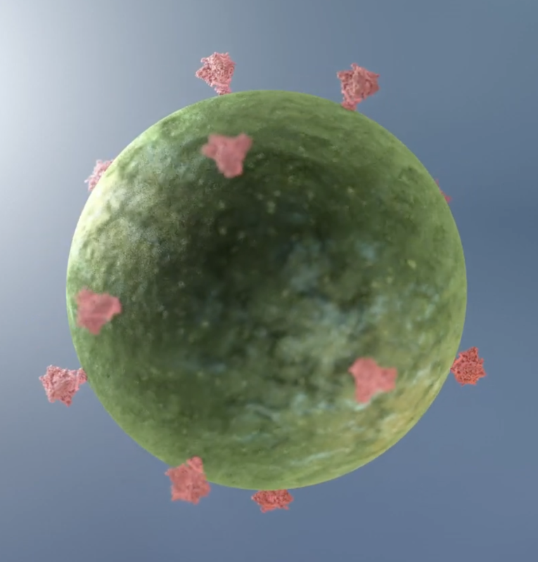 HIV Story 17 May 2024 Animation Still Image