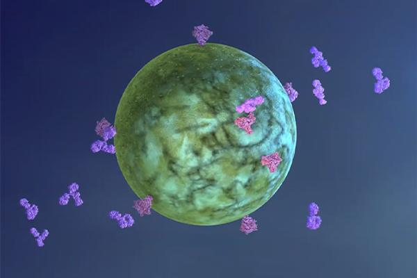 rendering of the HIV virus