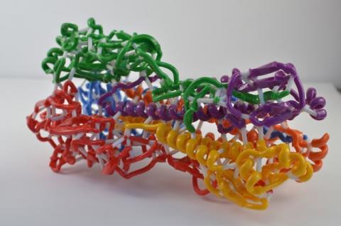 3D PRINT OF HEMAGGLUTININ (HA), ONE OF THE PROTEINS FOUND ON THE SURFACE OF INFLUENZA VIRUS THAT ENABLES THE VIRUS TO INFECT HUMAN CELLS