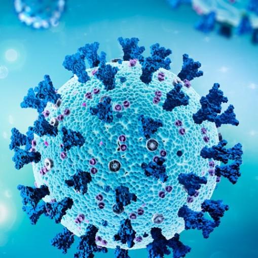 Image of virus