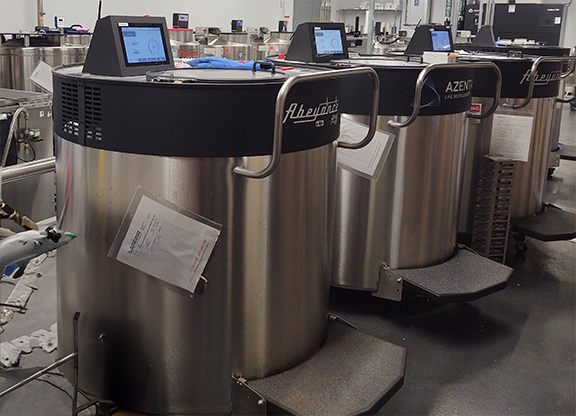 Freezers in Accessioning Unit