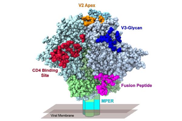 Classes of BNAb epitopes on HIV-1 envelope
