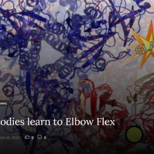 HIB Antibodies learn how to elbow flex