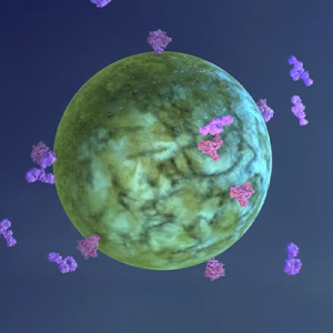 rendering of the HIV virus